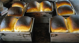 石窯焼き 食パン
