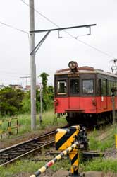 運転手さん募集